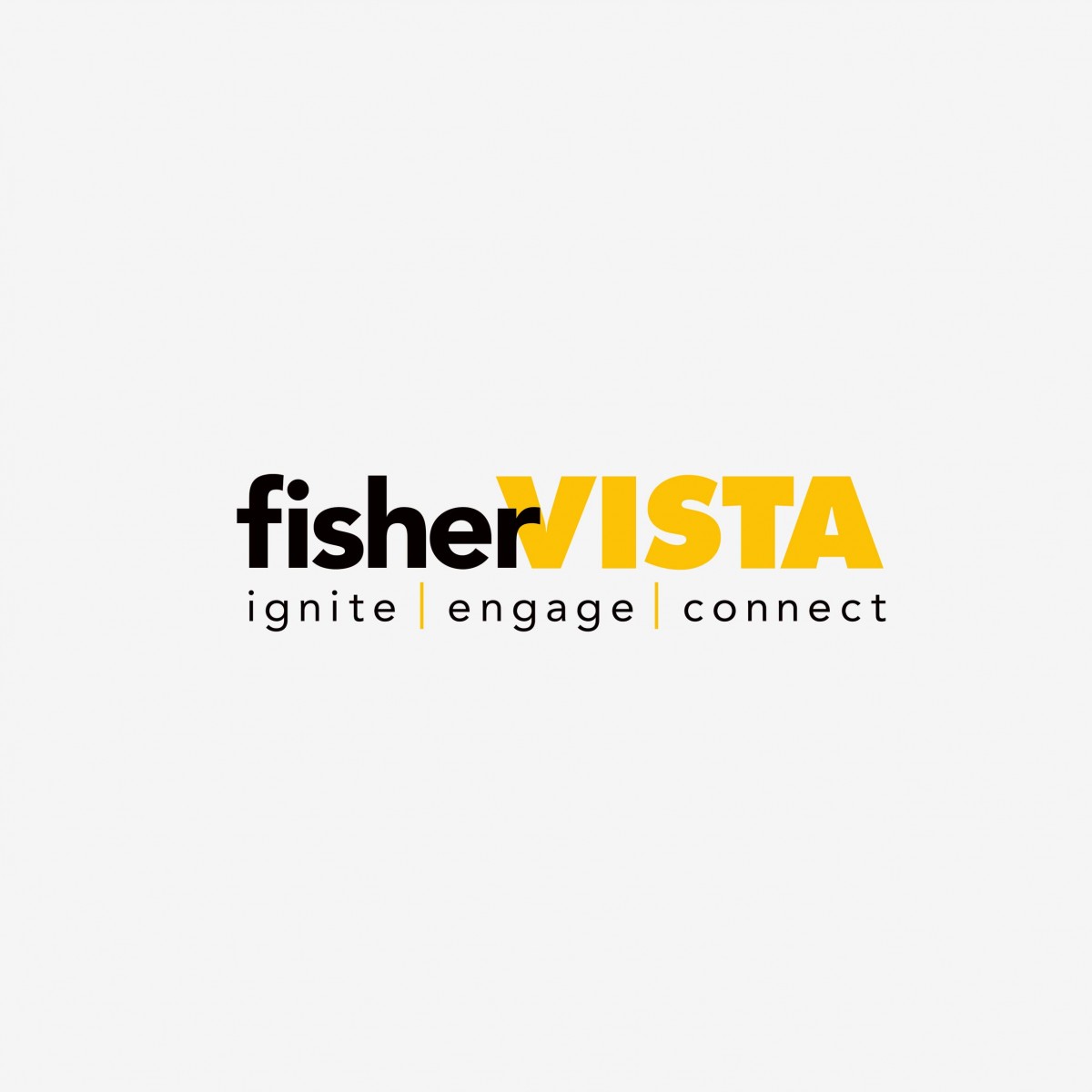 fisherVista corporate identity